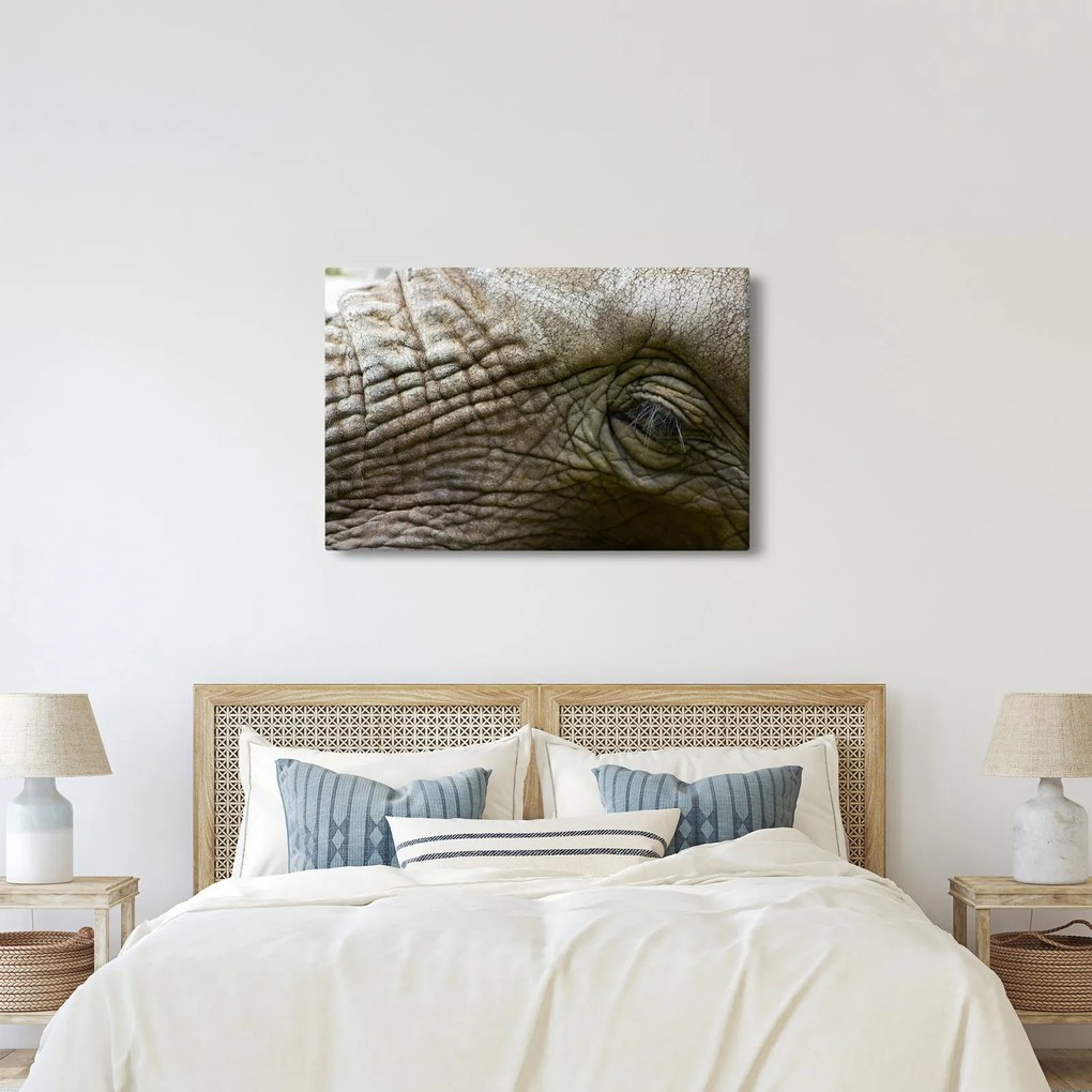 Kép - Közelkép az öreg elefánt szeméről (90x60 cm)