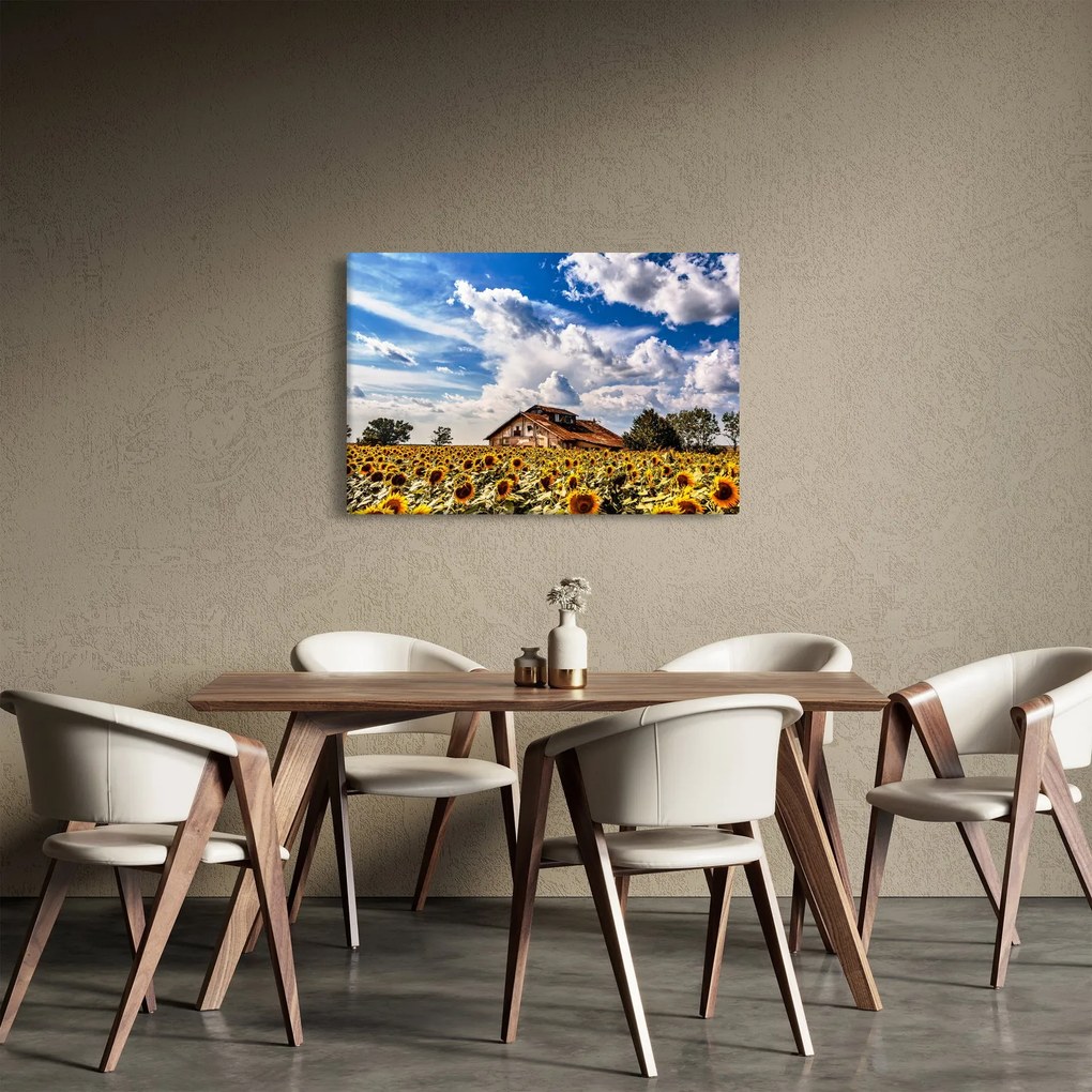 Napraforgó mező képe (90x60 cm)