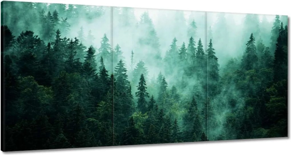 Vászonkép 120x60 Erdő Köd Tájkép Utazás