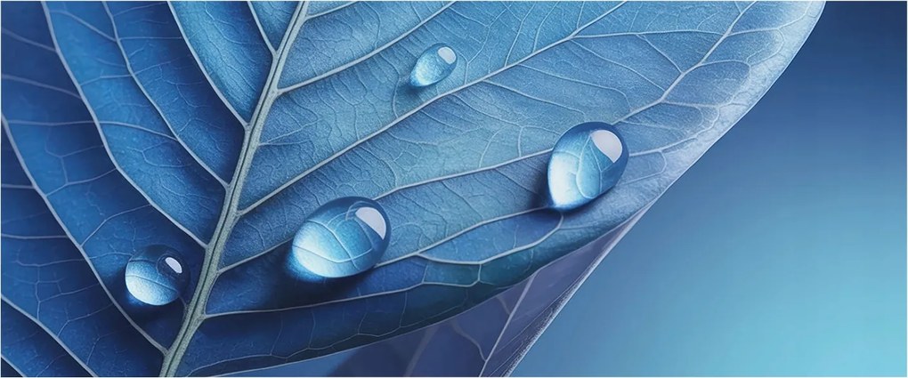 Flizelin tapéta Flizelin falikép Prémium levél kék 250x104 Ragasztó