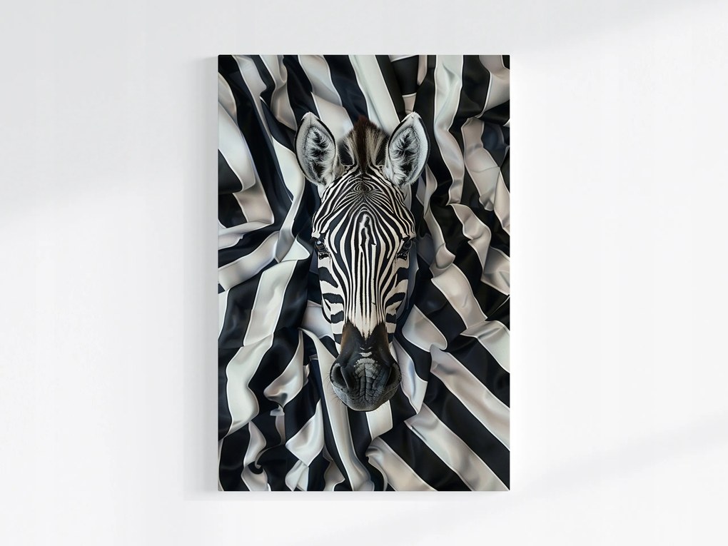 Canvas Vászonkép Fekete Fehér Zebra Portré Szövet Ágynemű 80x120