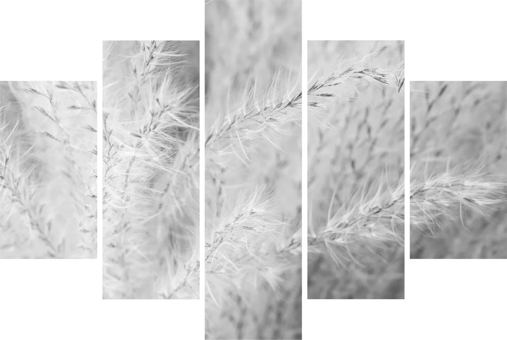 Kép - Pampafű N⁰1 (150x105 cm)