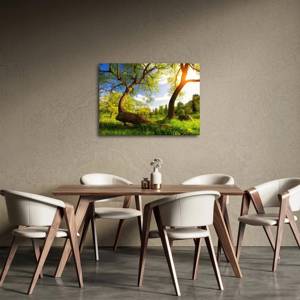 Kép egy tavaszi rétről (70x50 cm)