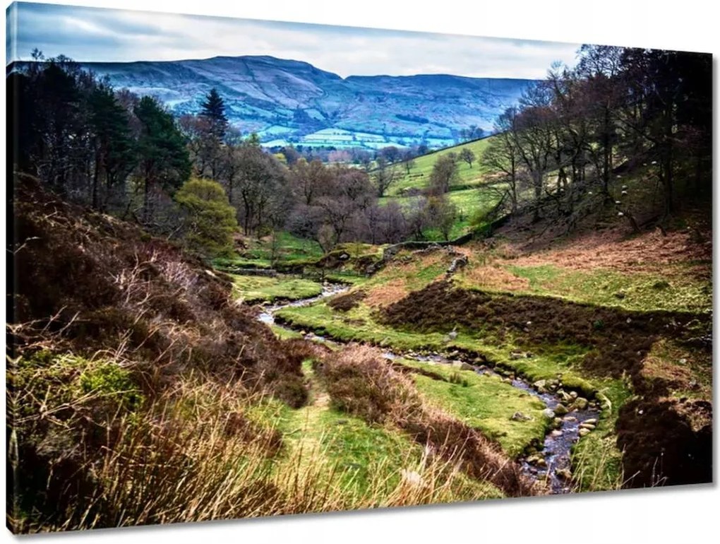 Vászonkép 90x60 Patak a hegyekben