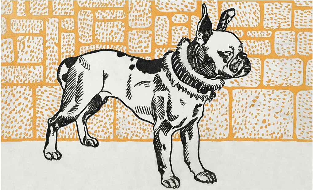 Fotótapéta Flizelina Nappali és Hálószoba Kutya retro 416x254 Ragasztó