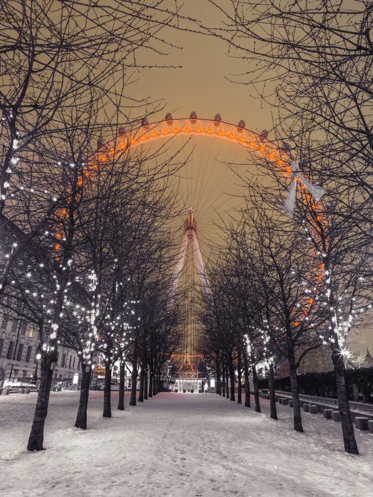 Poszter 60x80cm London Eye éjszaka fákkal, Assaf Frank