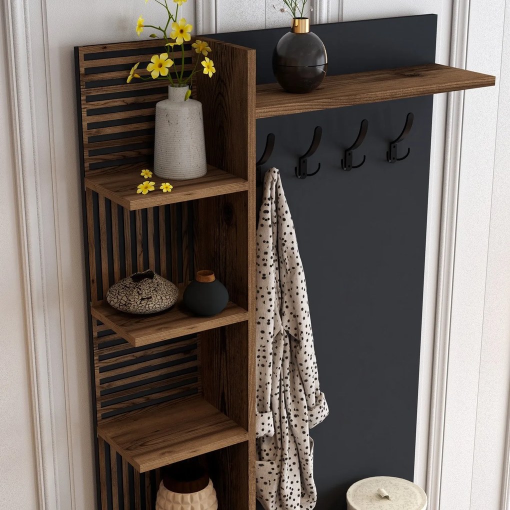 Előszobafal Viyana D - Walnut, Anthracite