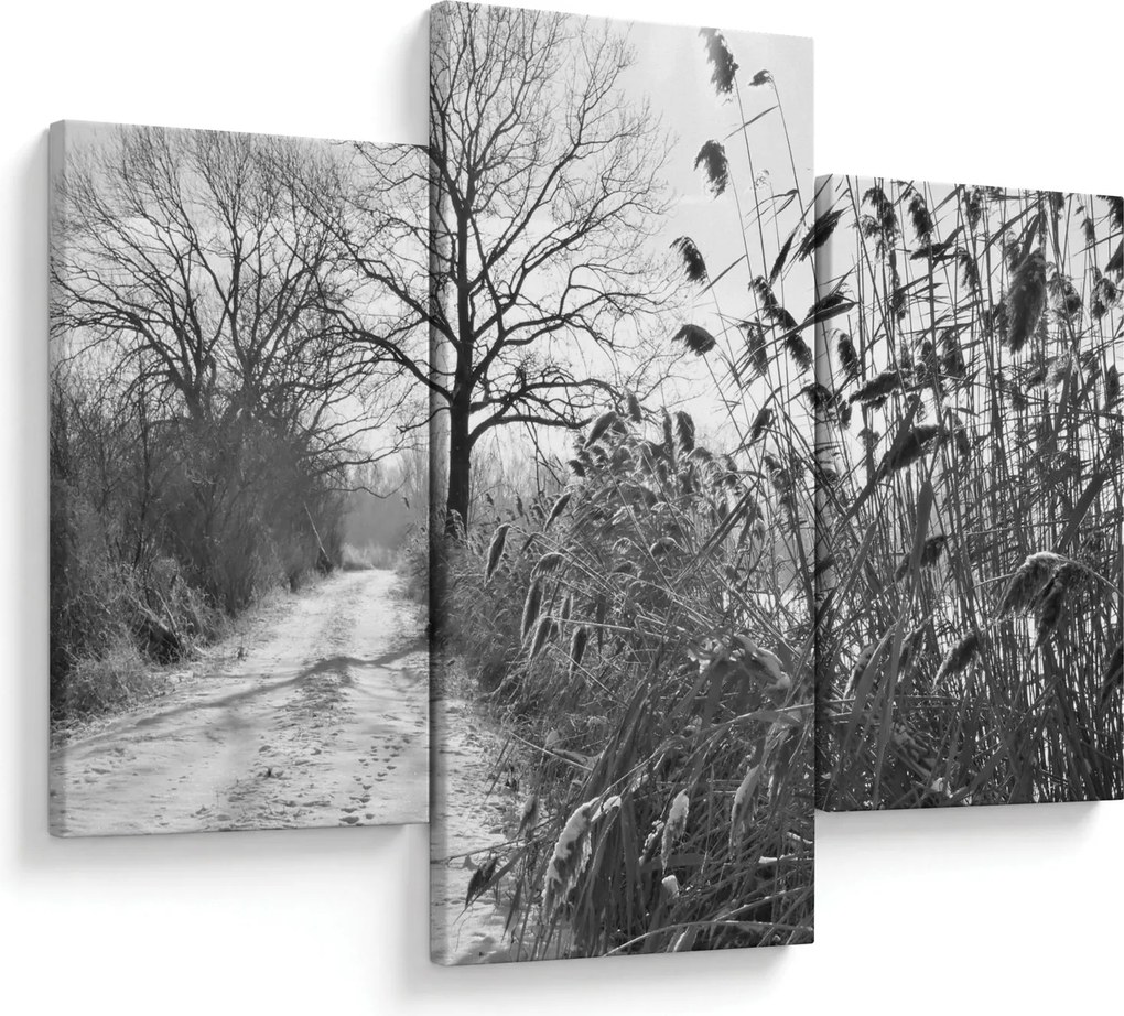 Kép - Mezők télen (90x60 cm)