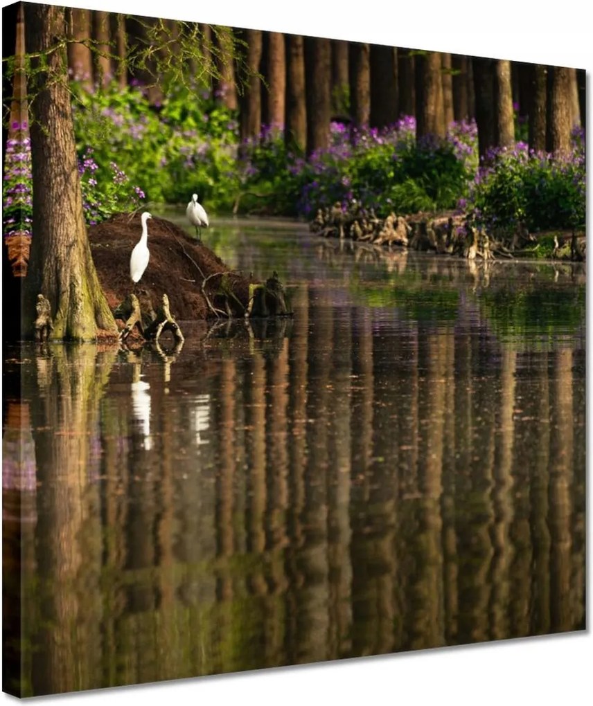 Vászonkép 30x30 Tájkép Látvány