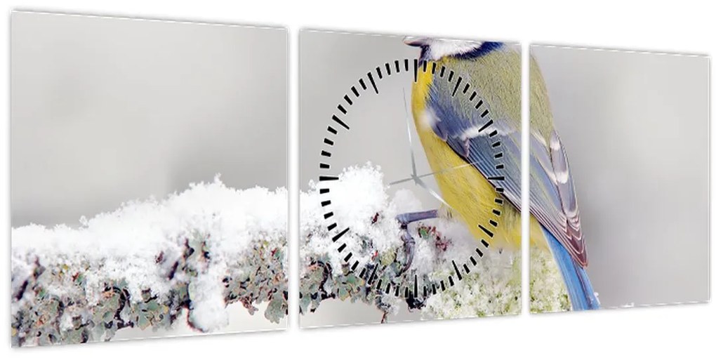 Kép - Cinege (órával) (90x30 cm)