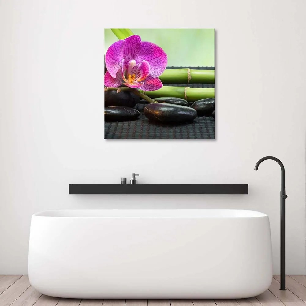 Gario Vászonkép Virágzó orchidea fekete köveken Méret: 40 x 40 cm