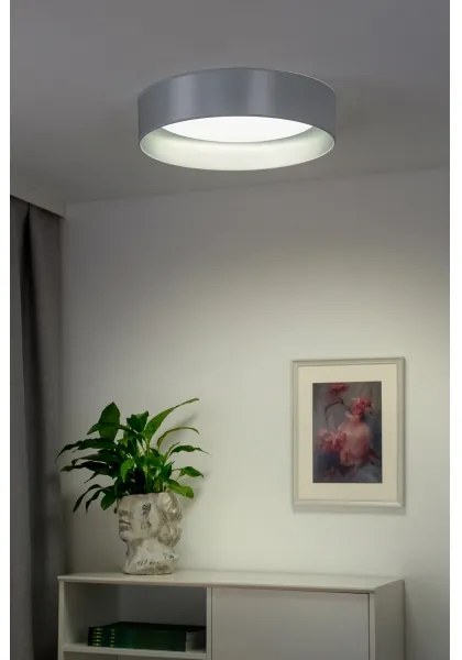Duolla - LED Mennyezeti lámpa ROLLER LED/24W/230V átm. 45 cm ezüst