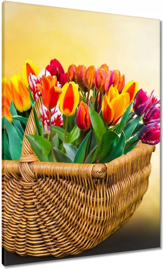 Vászonkép 70x100 Tulipánok Virágok