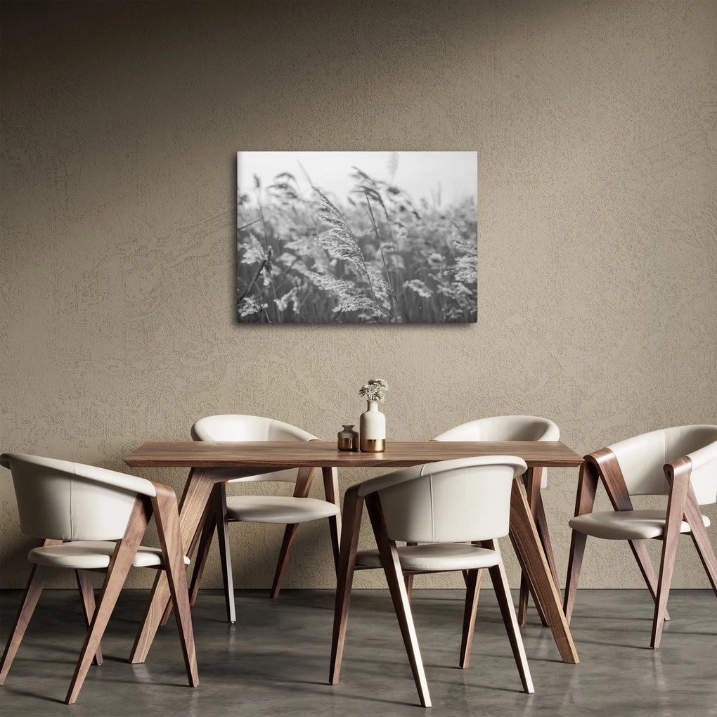 Kép - Fű a szélben (70x50 cm)