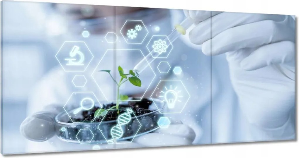 Vászonkép 60x30 Téma az iskola osztályába Biológia