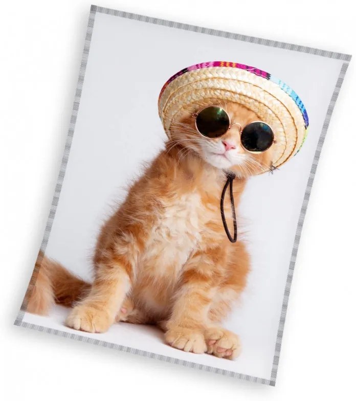 Cicás Cool Kitty coral fleece polár takaró 150x200cm