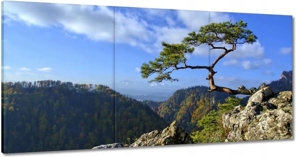 Festmények 180x90 Tájképek Kilátások Tájképek