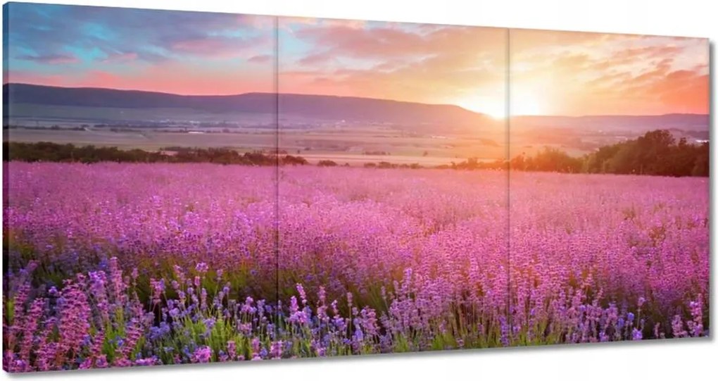 Vászonkép 60x30 Nyugaton változatlan