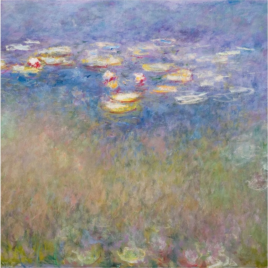 Flizelin tapéta falra Prémium víz liliomok 250x250 ragasztó