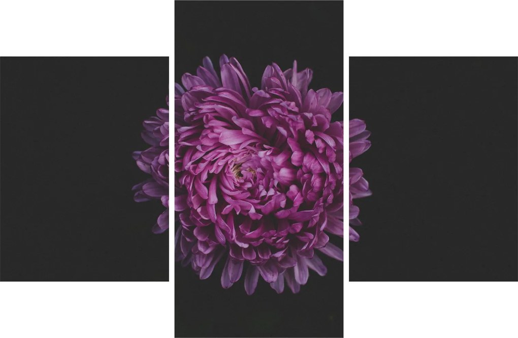 Lila virág képe (90x60 cm)