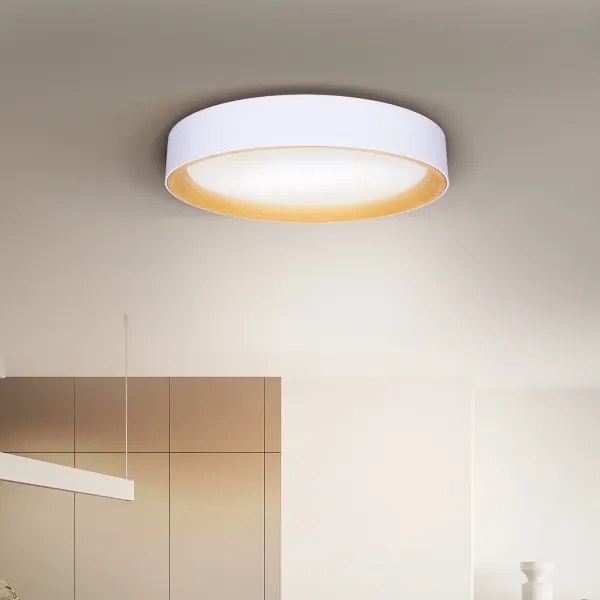 Brilagi -LED Dimmelhető lámpa LARIOS LED/48W/230V 3000-6500K ø 39 cm fehér + távirányító
