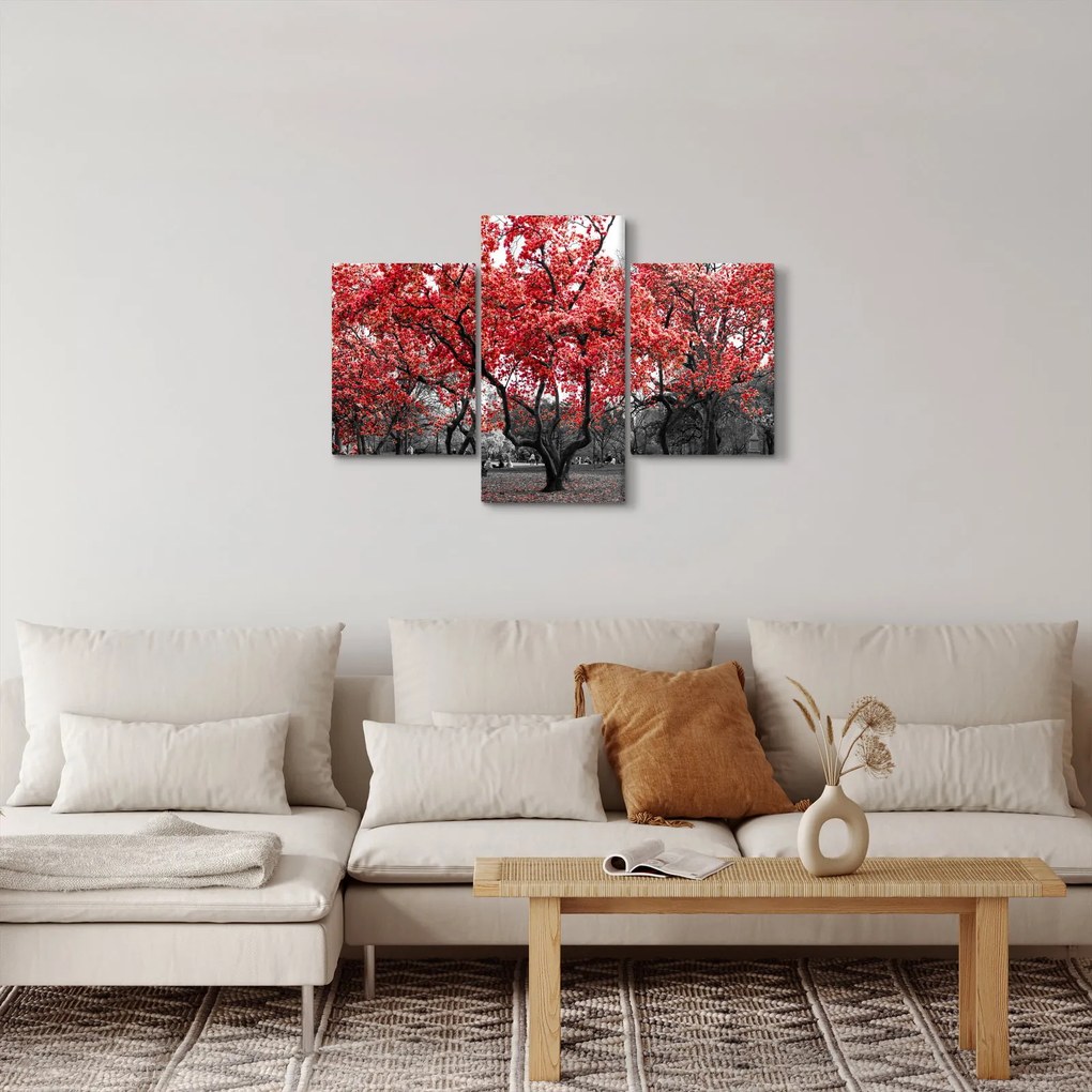 Kép - vörös fák, Central Park, New York (90x60 cm)