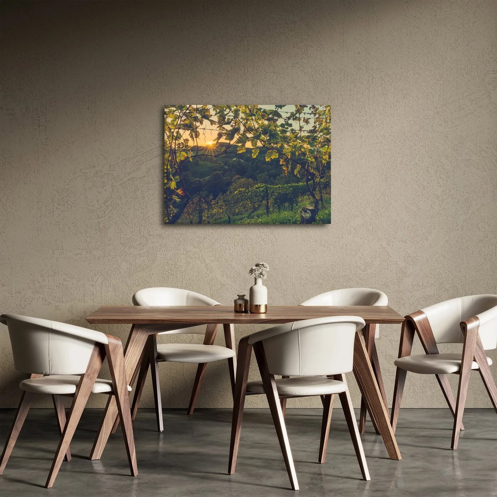 Kép - szőlőültetvény (70x50 cm)