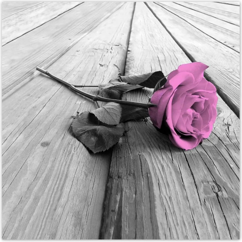 Poszterek 30x30 Régi rózsa Rózsa a deszkákon