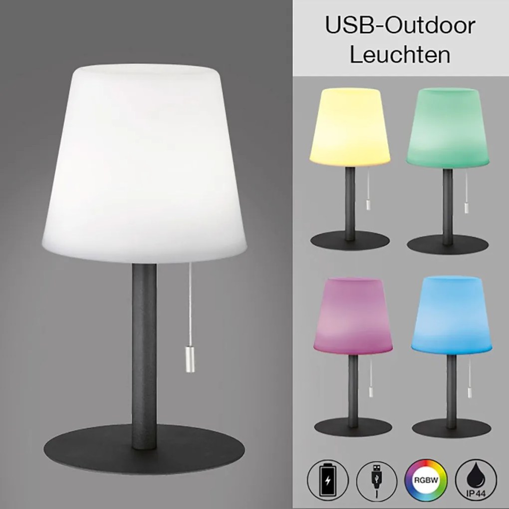FISHER&HONSEL 850135 GARDEN Kültéri Dekorációs Lámpa LED IP44