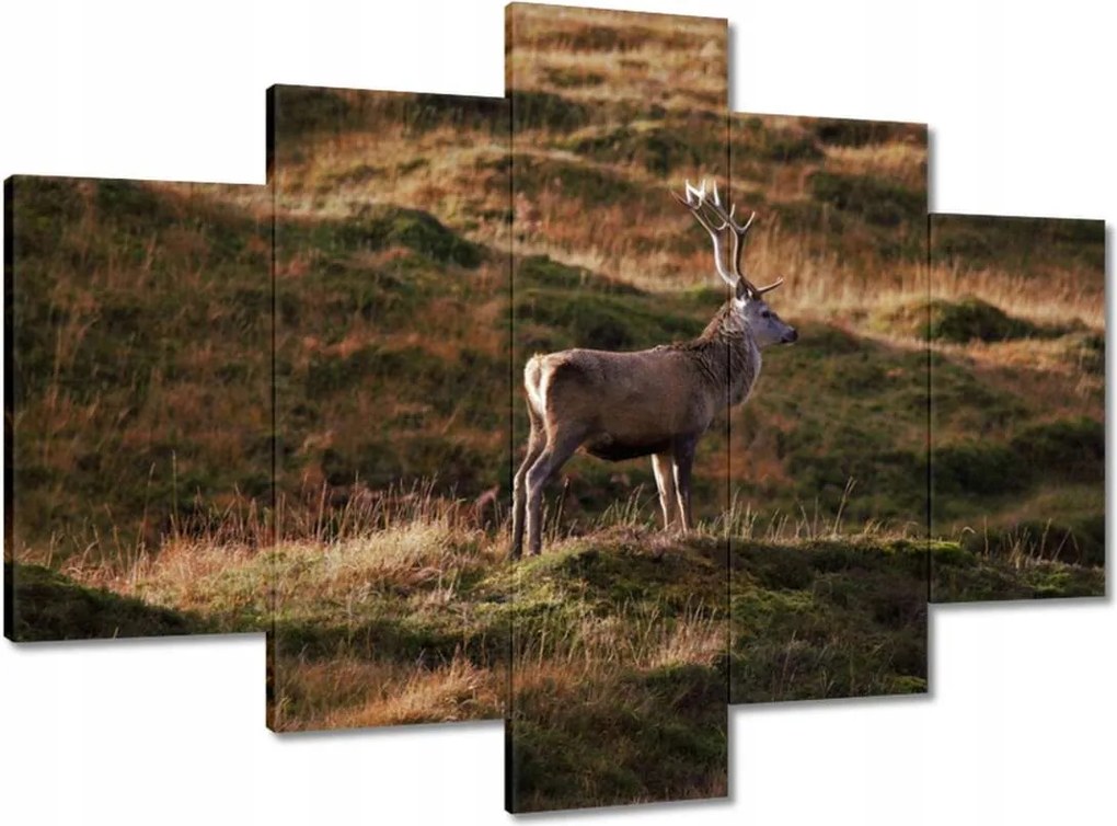 Festmények 150x105 Szarvas a természetben Vadászat