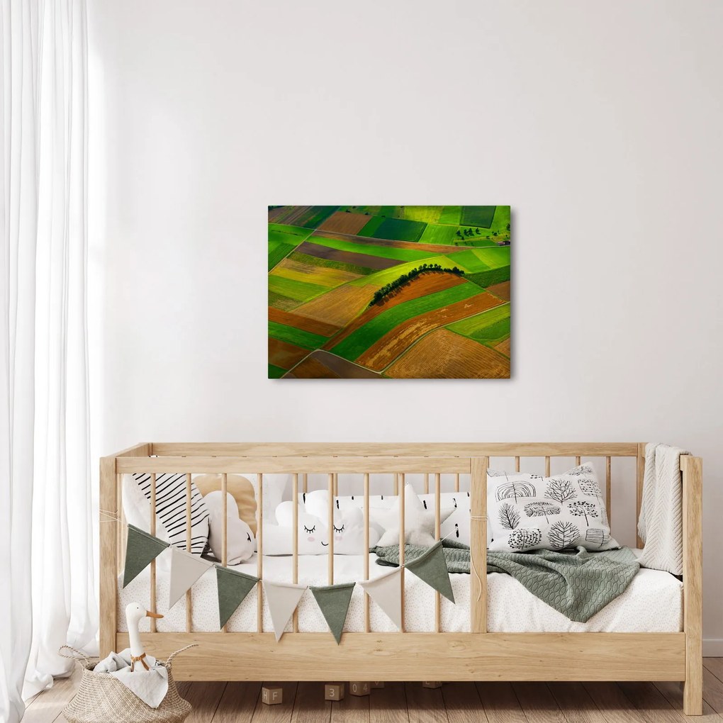 Kép - Mezők, rétek (70x50 cm)