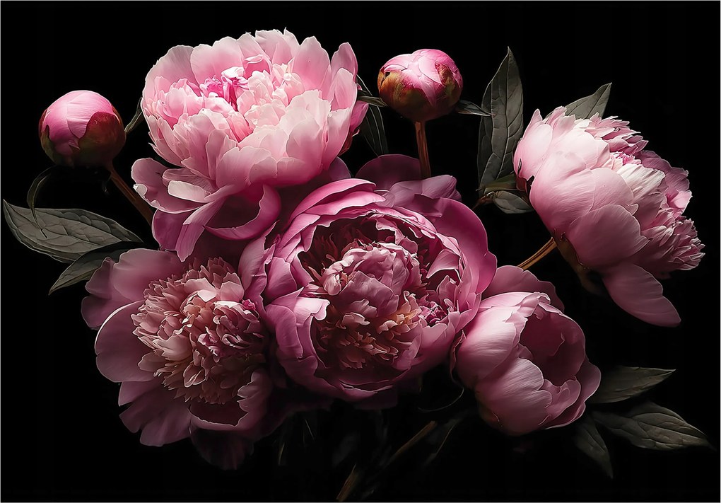 Fotótapéta Virágok Bazsarózsa Rózsaszín Hálószoba Nappali Tapéta Flizelina 200x140