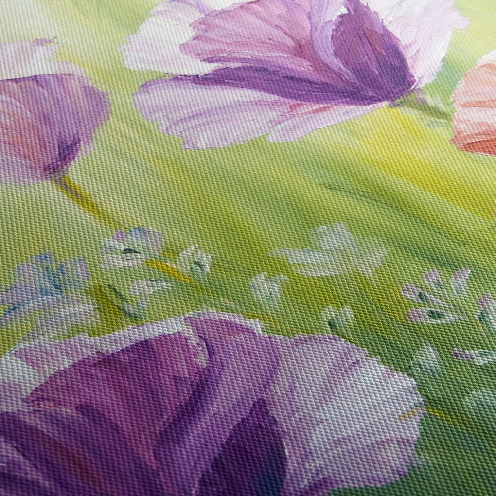 Kép - Pipacsok (70x50 cm)