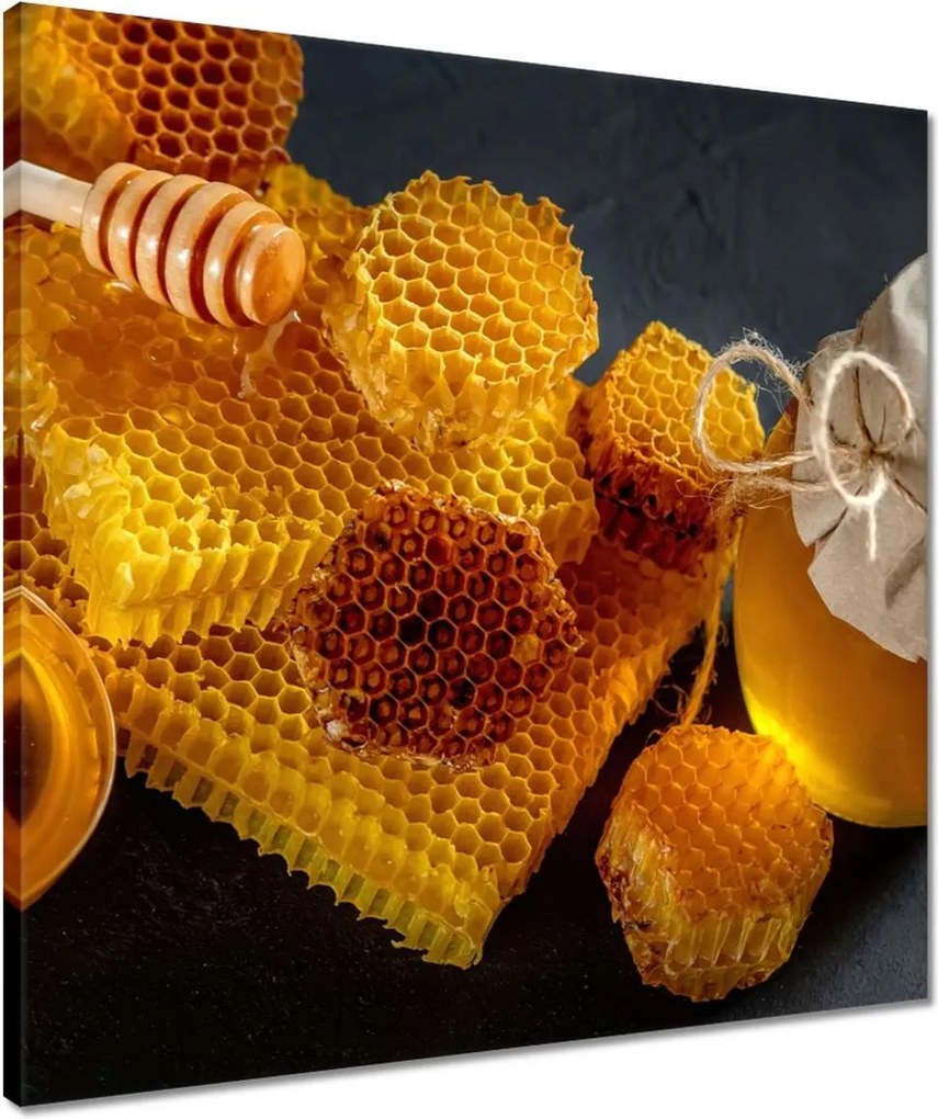 Vászonkép 50x50 Méhsejt méz