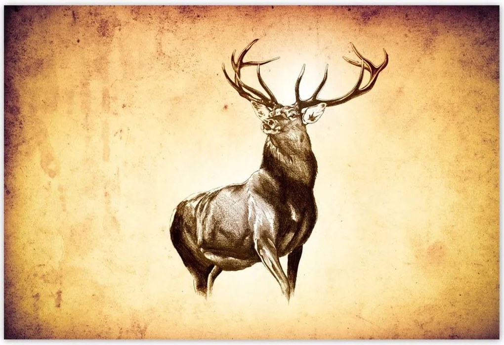 Poszterek 155x105 Szarvas szarvakkal