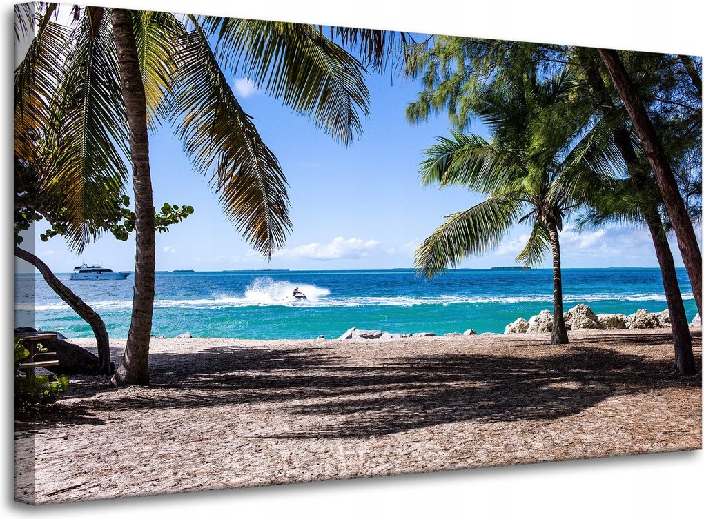 Vászonkép Természet Óceán pálmafák tengerpart 100x60