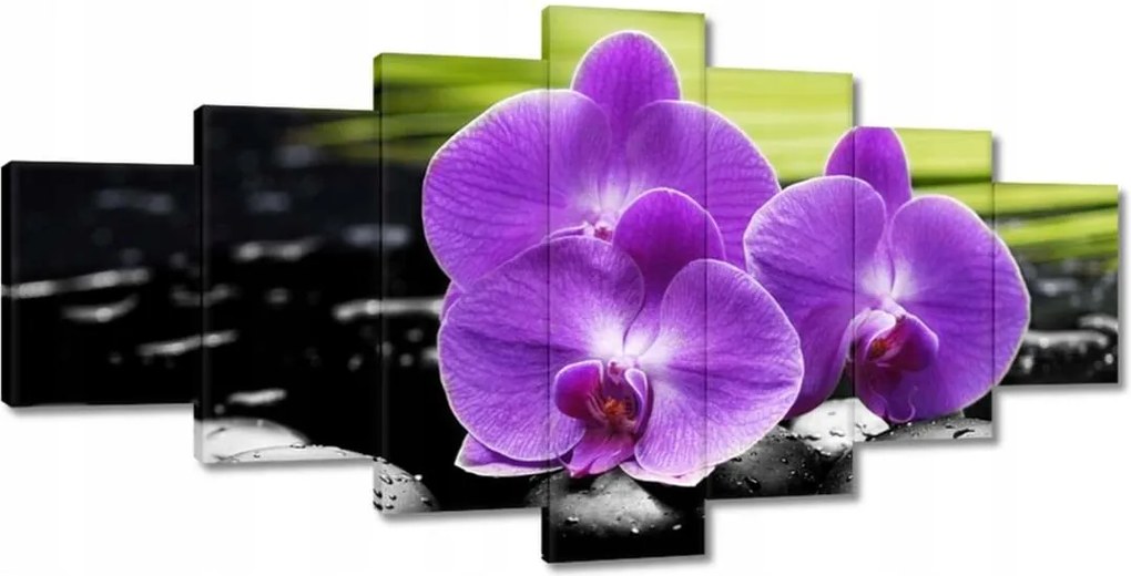 Festmények 210x100 Lila orchideák