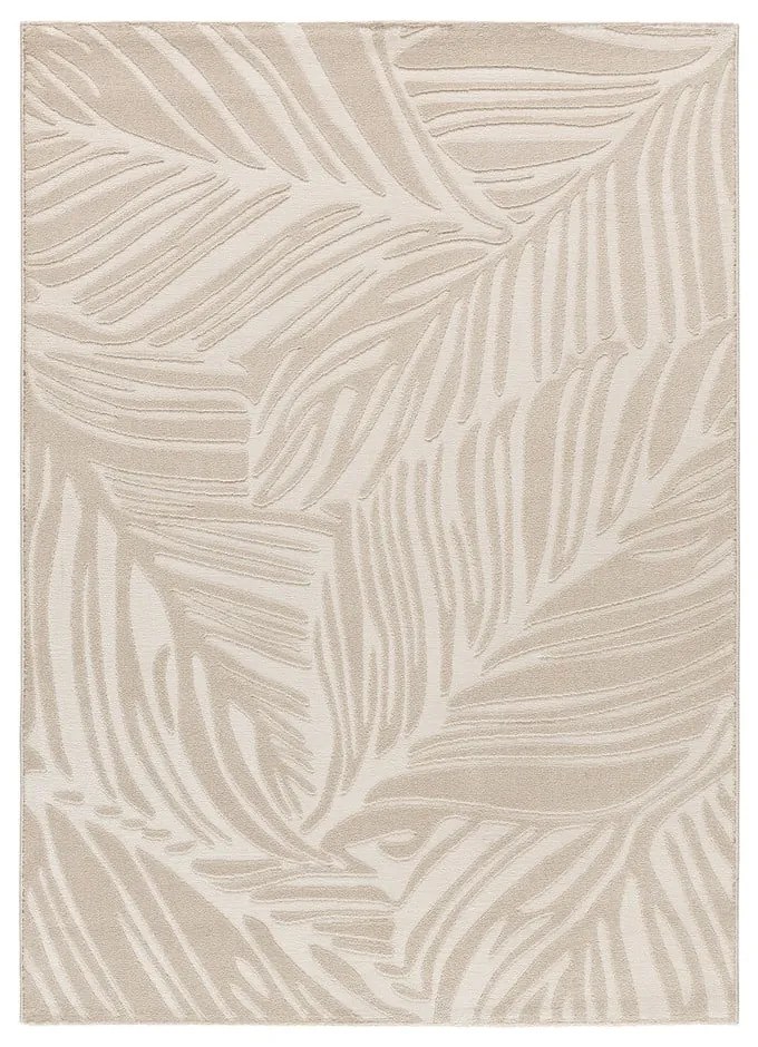 Krémszínű szőnyeg 160x230 cm Sensation – Universal