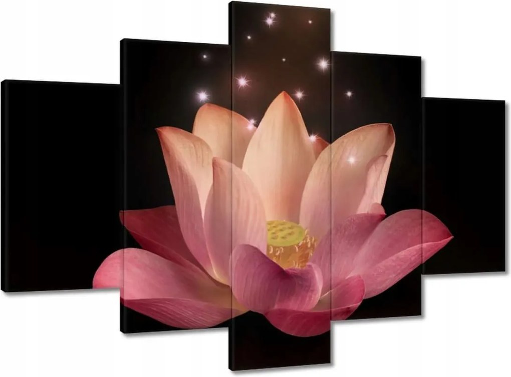 Vászonkép 150x105 Rózsaszín lótuszvirág