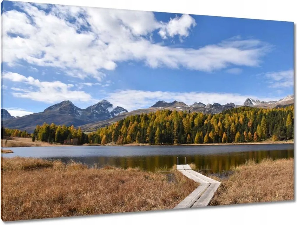 Festmények 120x80 Tájkép Fa híd