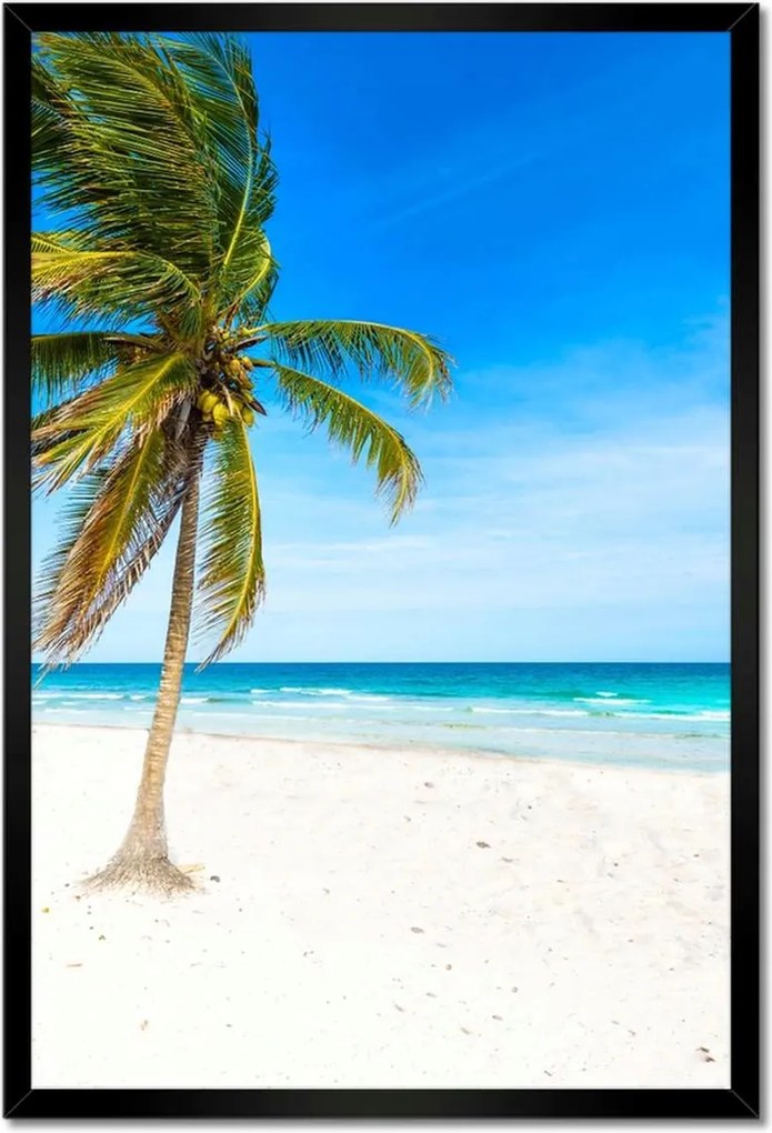 Poszterek keretben 40x60 Trópusok Tájkép Pálma