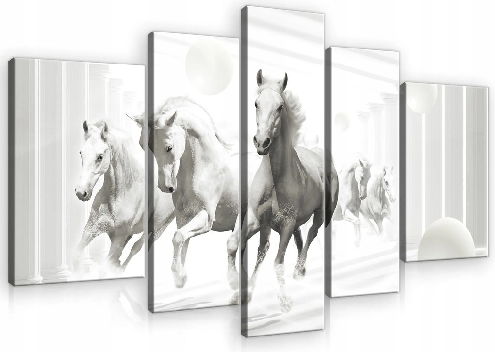 Vászonkép Lovak Fehér Modern Vászon Fal Hálószoba Nappali 170x100