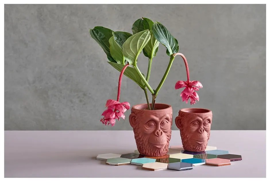 Calbe piros virágcserép ø 22 cm - Villa Collection