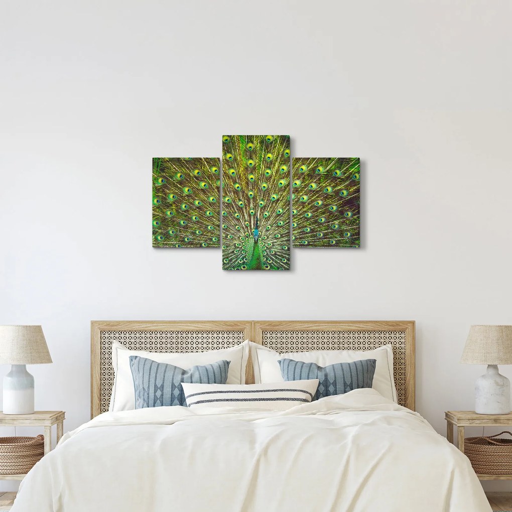 Kép - Páva (90x60 cm)