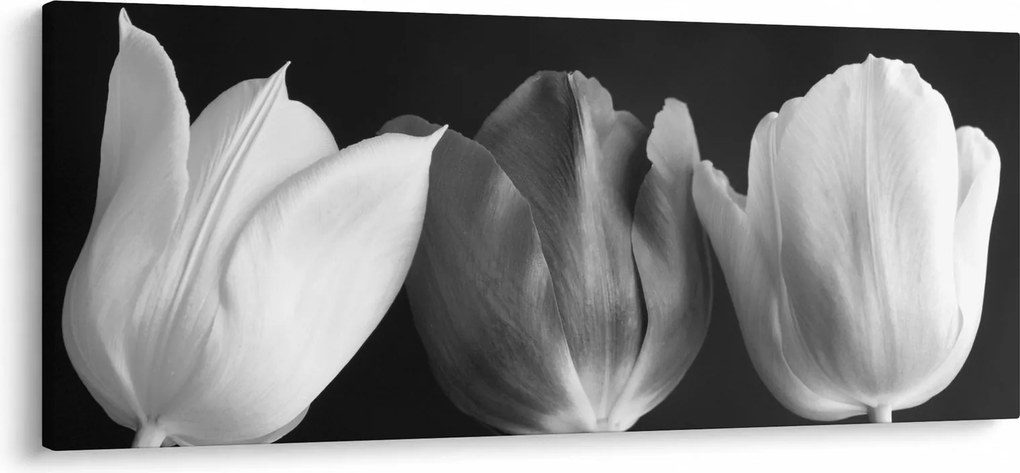 Kép - fekete-fehér tulipán virág (120x50 cm)
