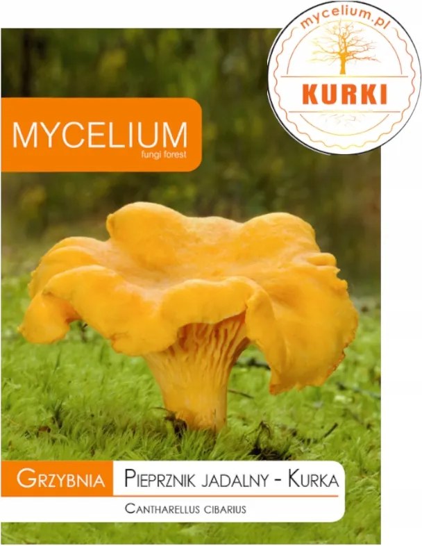 Ehető Bors Kakas erdei gomba micélium