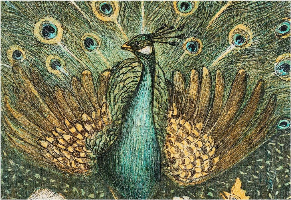 Fotótapéta Flizelin Fal a Hálószobába Fenséges páva 152x104 Ragasztó