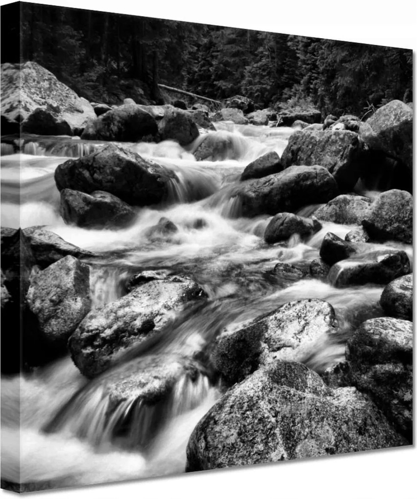 Vászonkép 60x60 Tátra Lengyel hegyek Kilátás