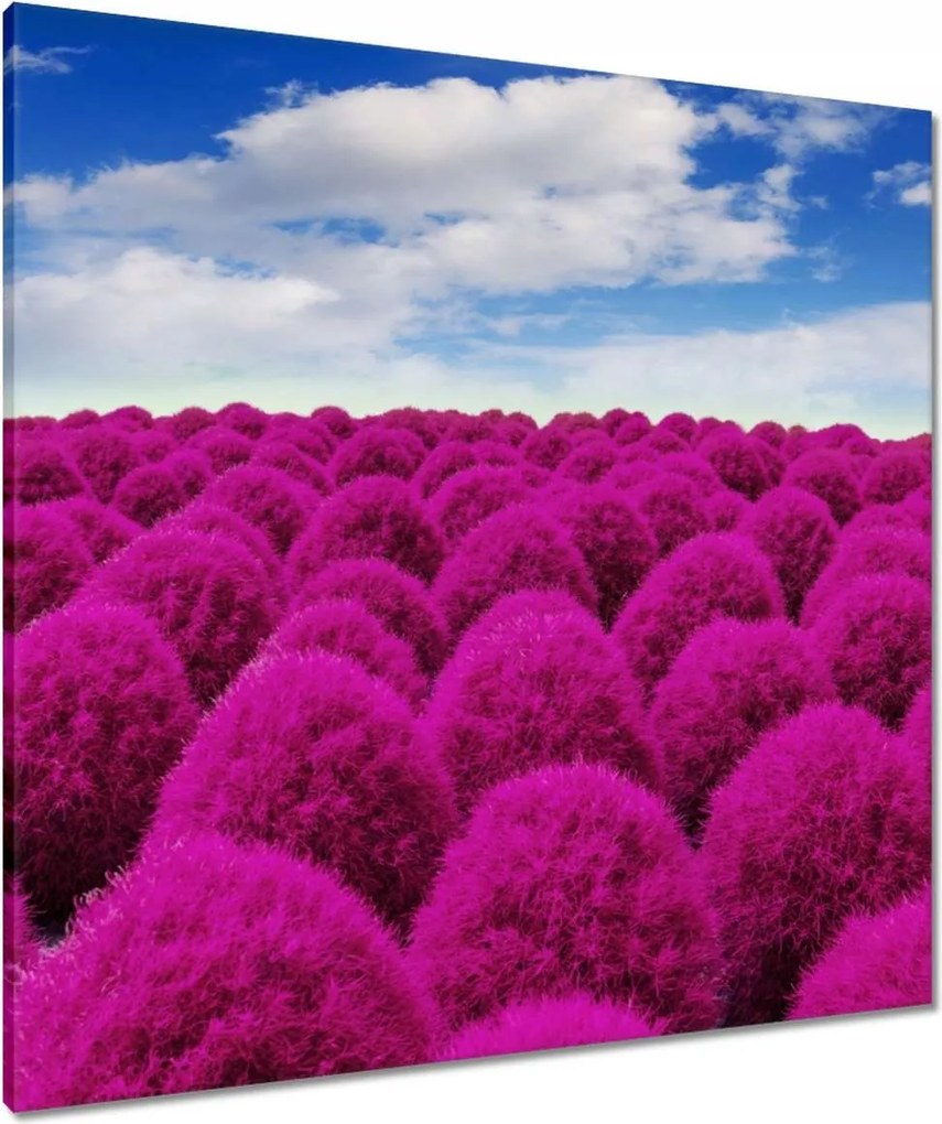 Vászonkép 80x80 Kifejező rét Tájkép