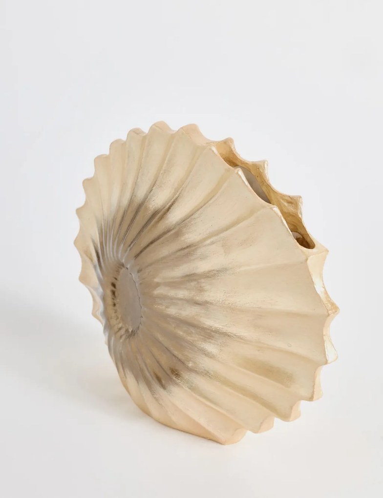 Seashell